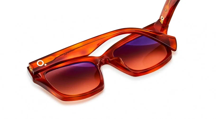 Etnia Barcelona BERTINI Sunglasses - view 3